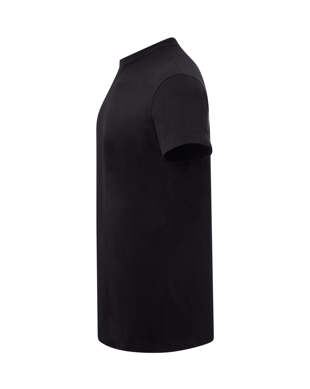 Curves Lady T-shirt
