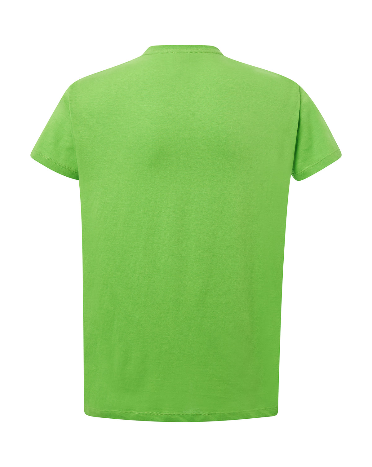Curves Lady T-shirt