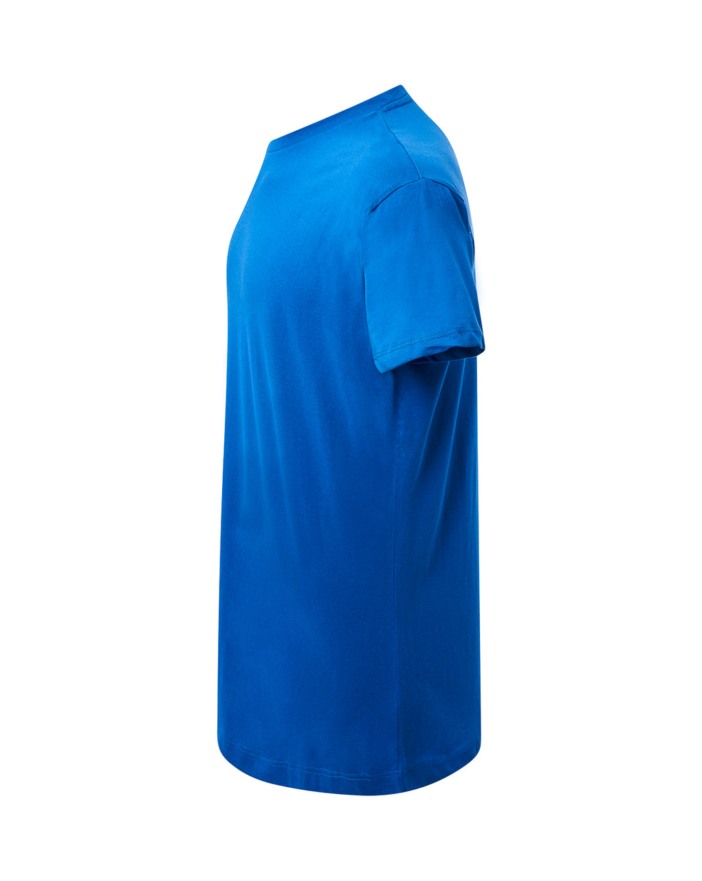 Curves Lady T-shirt