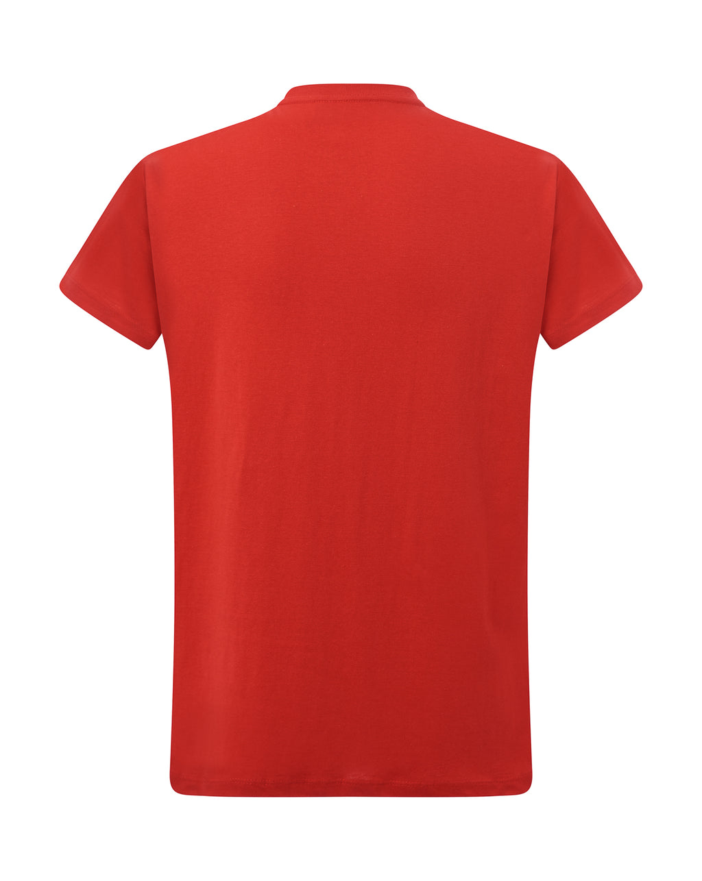 Curves Lady T-shirt