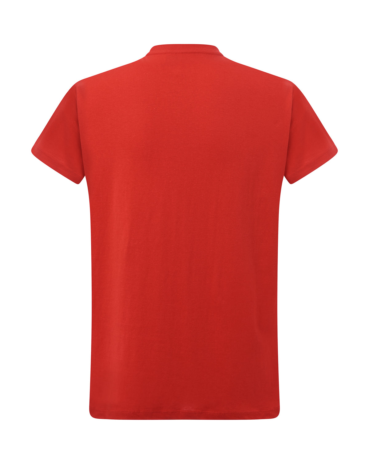 Curves Lady T-shirt