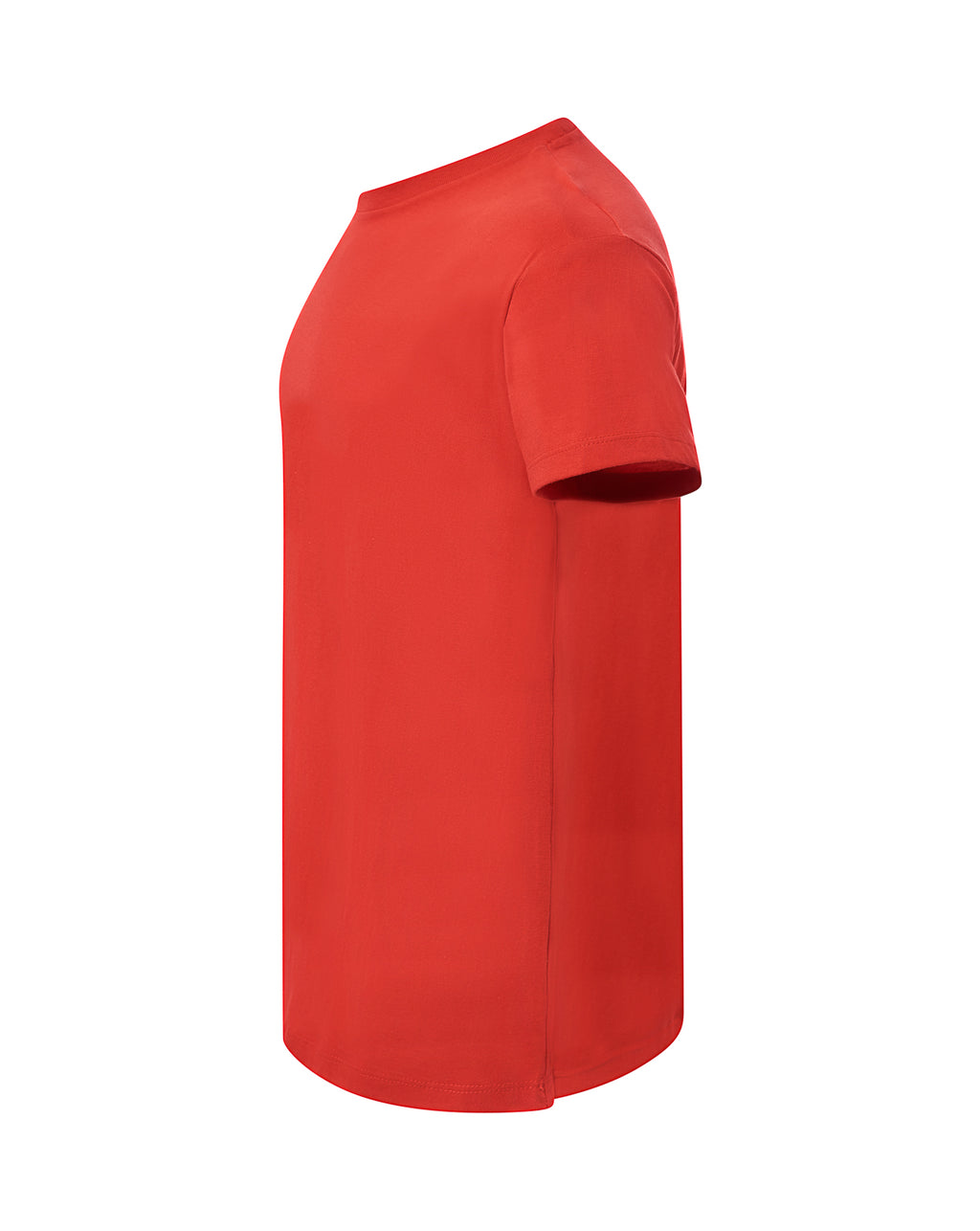 Curves Lady T-shirt