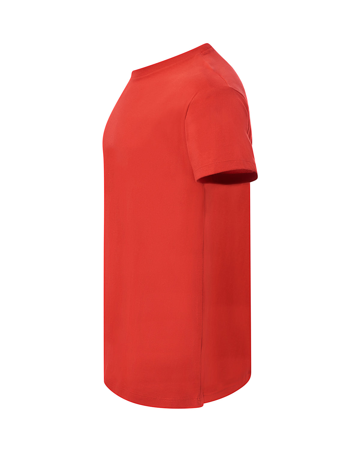 Curves Lady T-shirt
