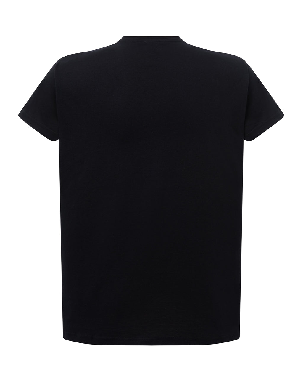 Curves T-Shirt V-Neck