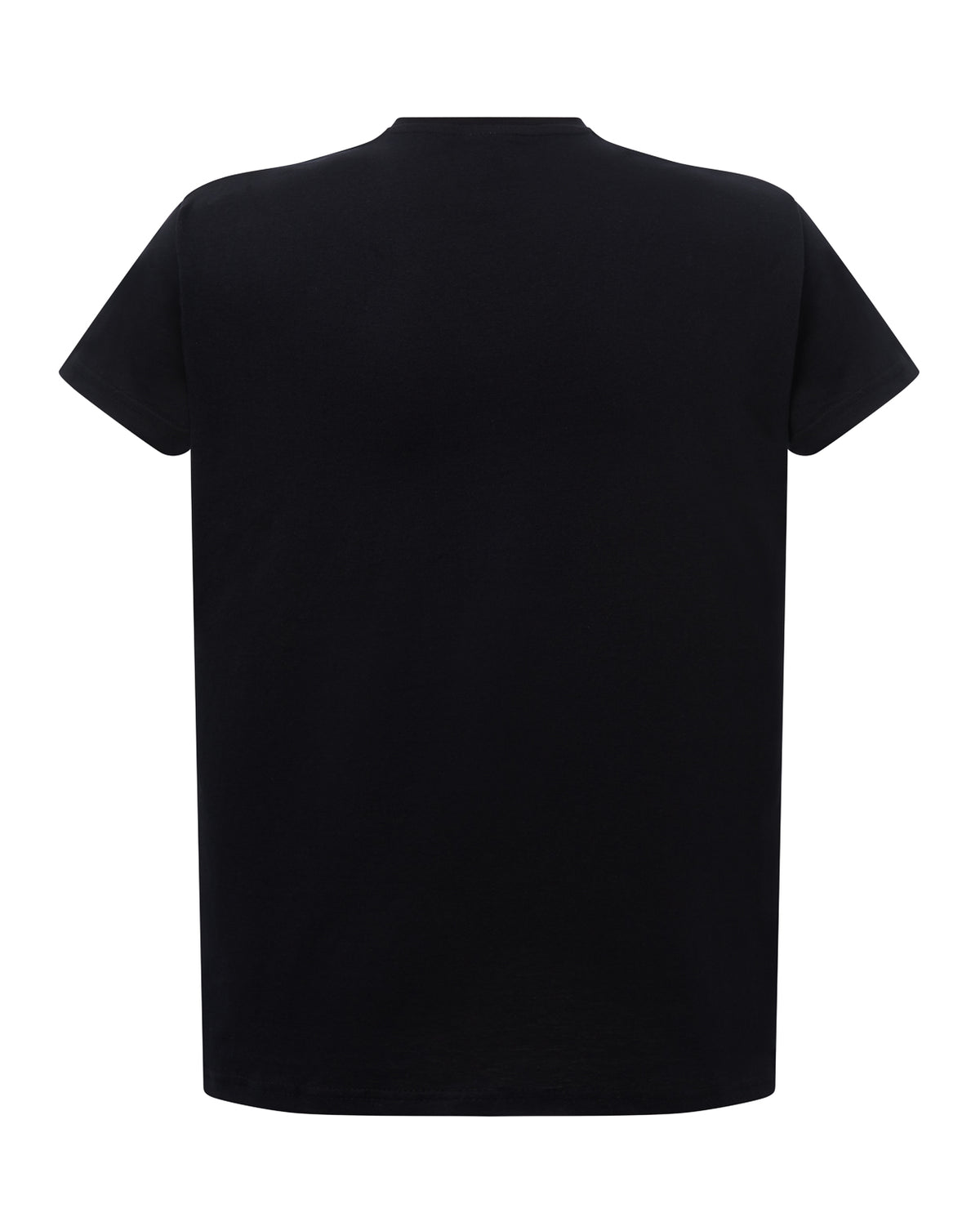 Curves T-Shirt V-Neck