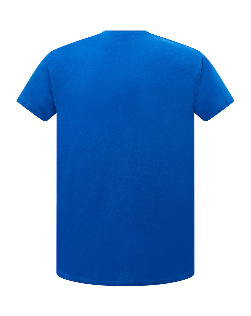 Curves T-Shirt V-Neck