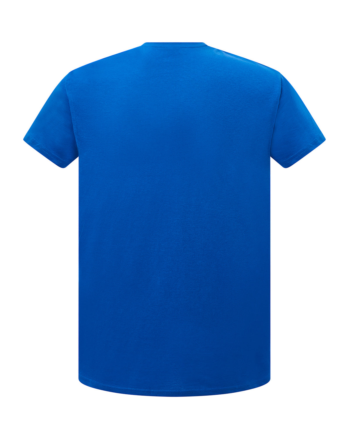 Curves T-Shirt V-Neck