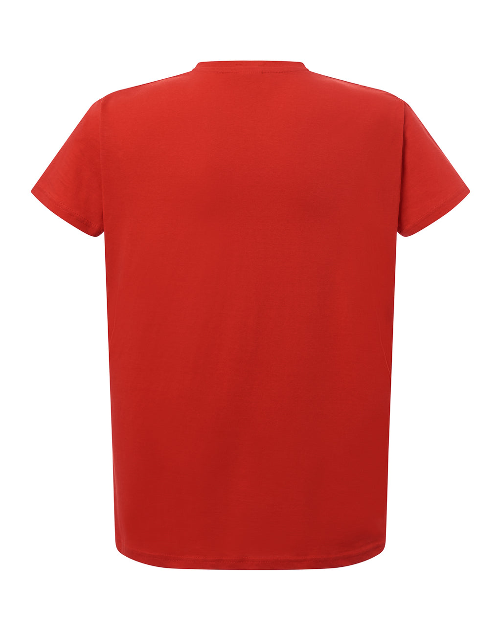 Curves T-Shirt V-Neck