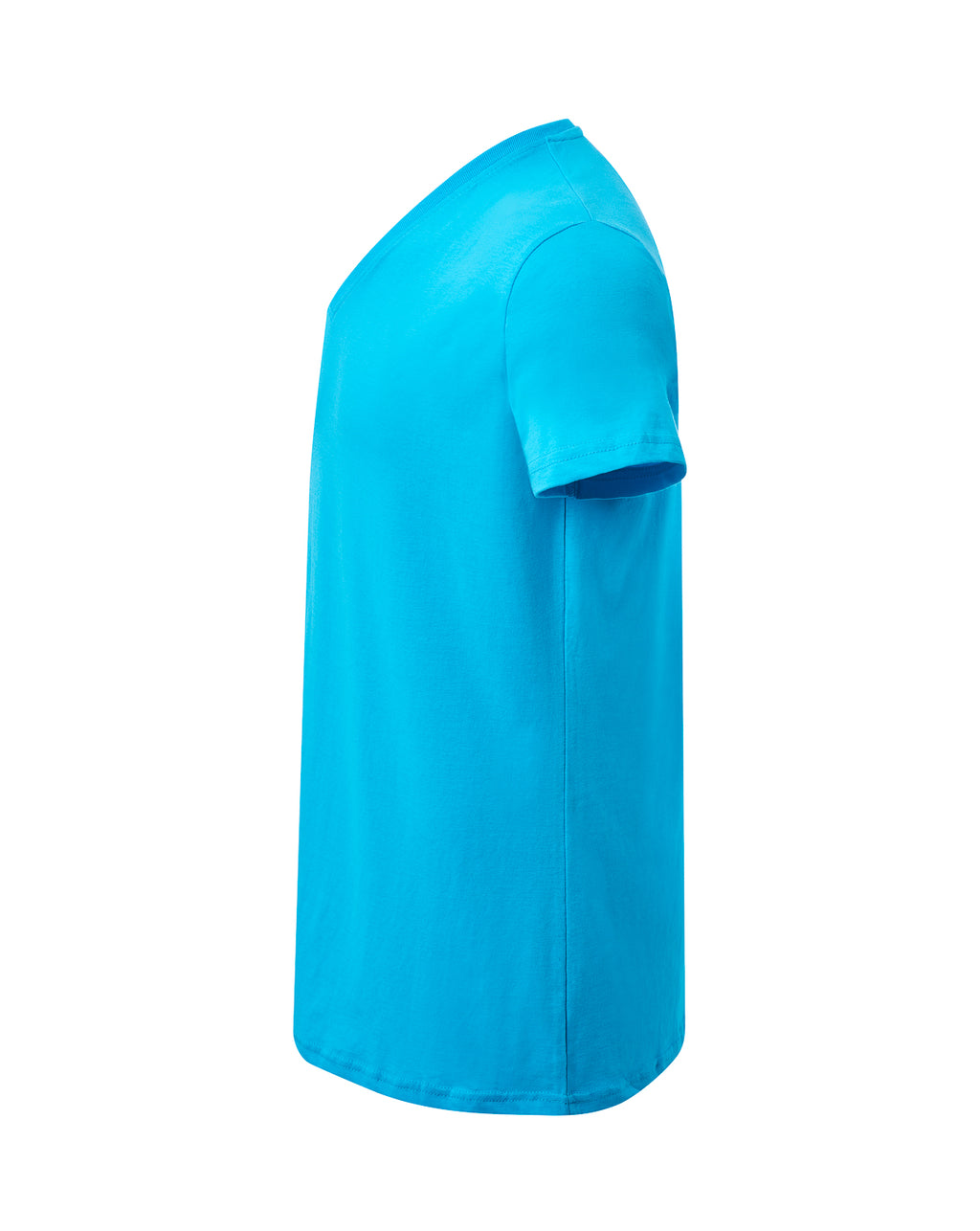 Curves T-Shirt V-Neck