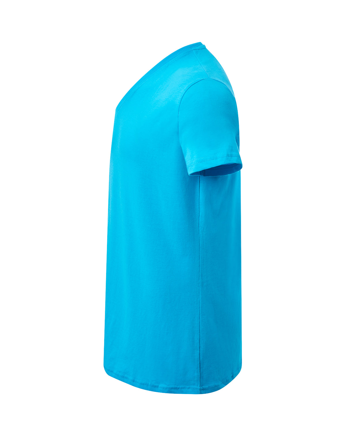 Curves T-Shirt V-Neck