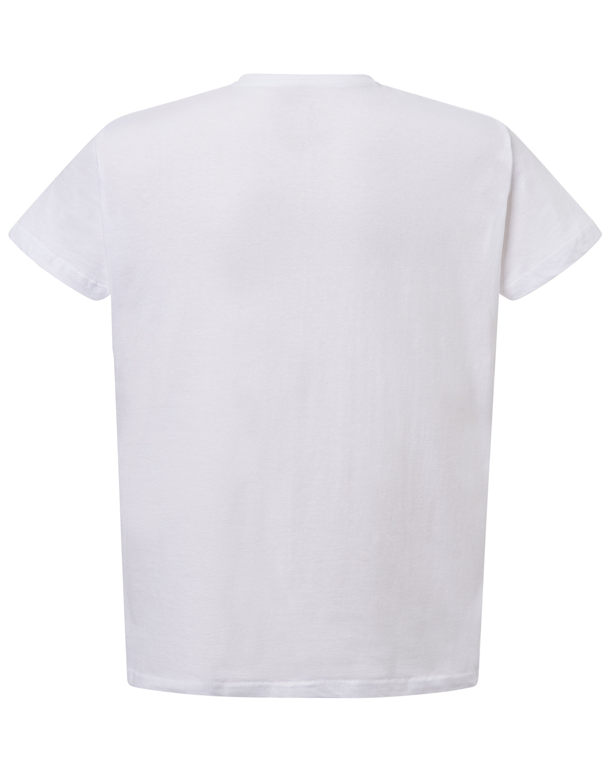 Curves T-Shirt V-Neck