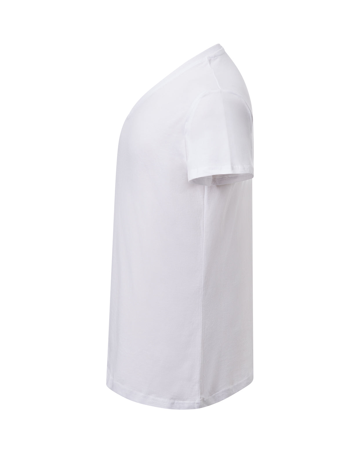 Curves T-Shirt V-Neck