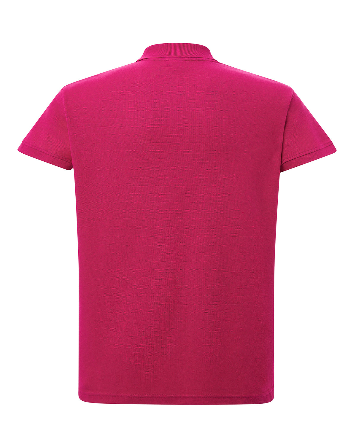 Curves Polo