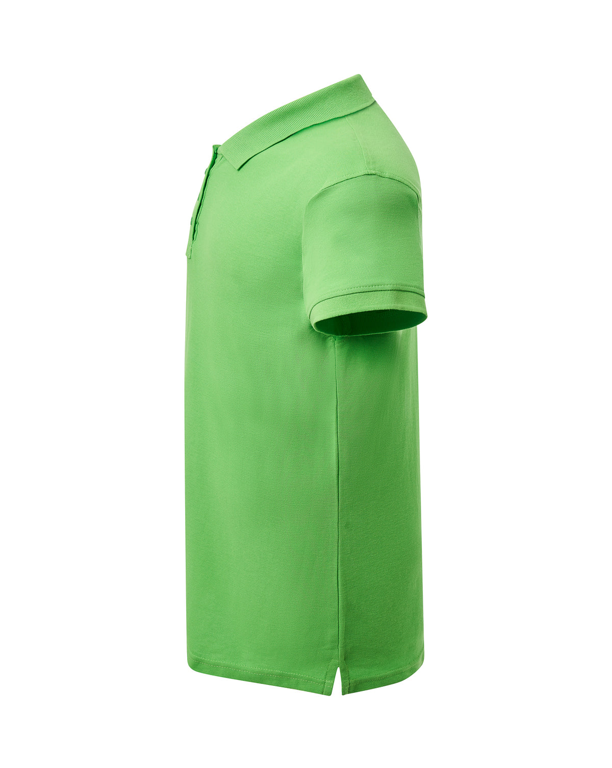 Curves Polo