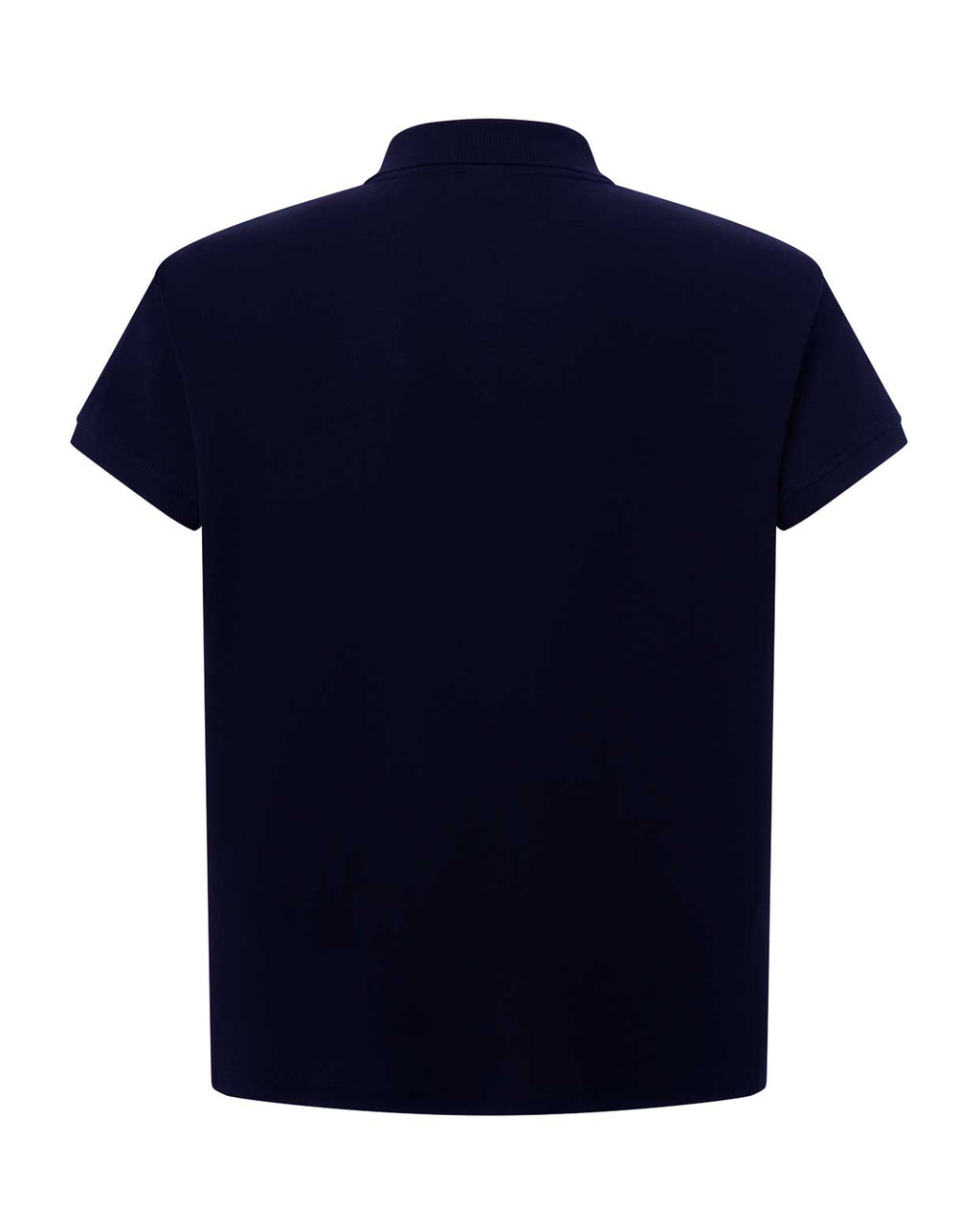 Curves Polo