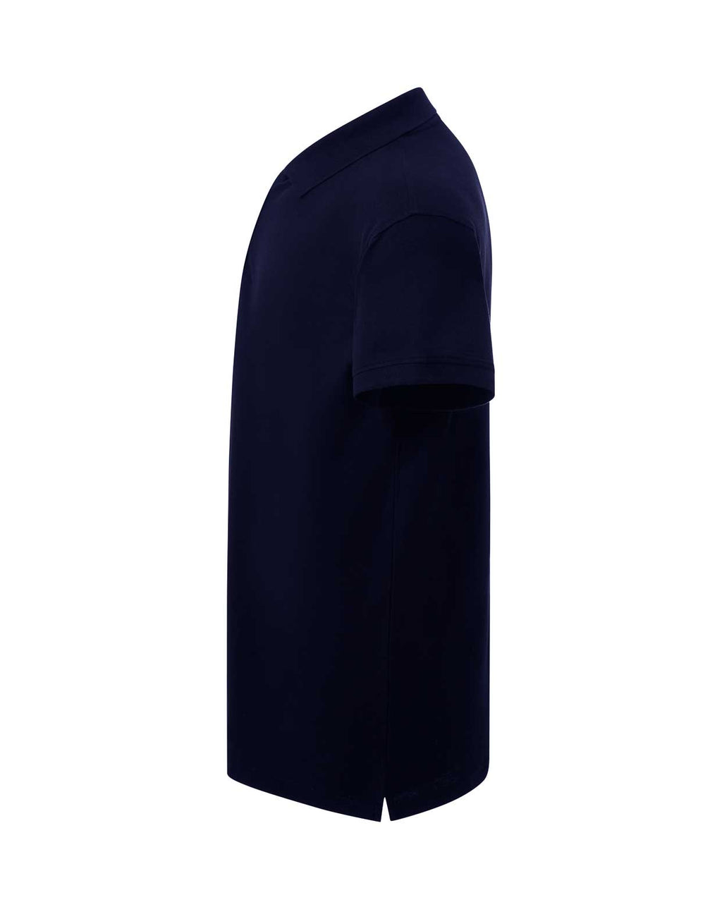 Curves Polo