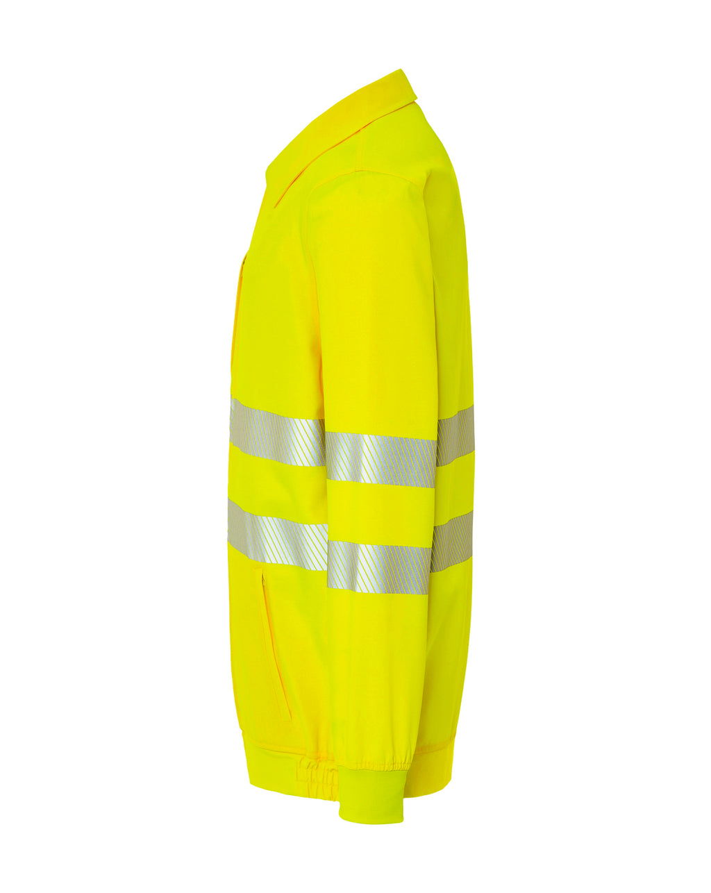Cazadora