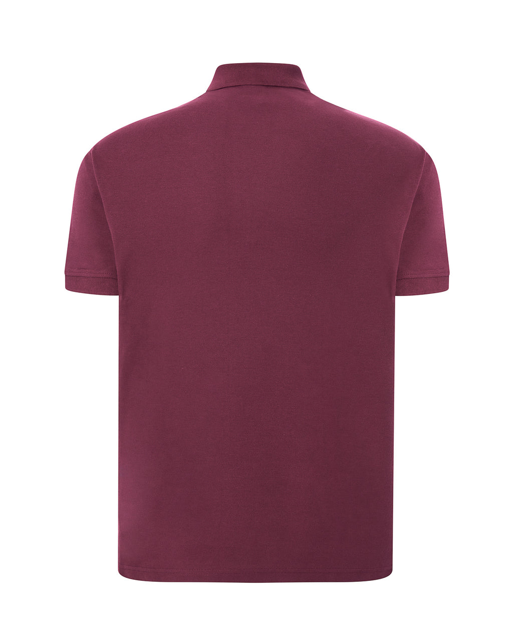 Regular Polo Man