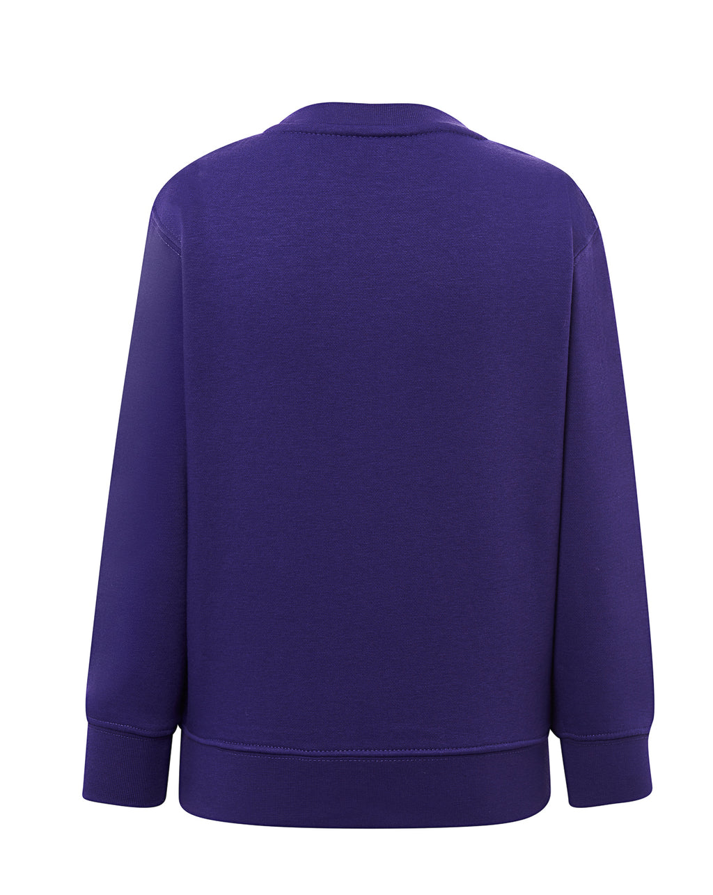 Crew Neck Sweatshirt Kid