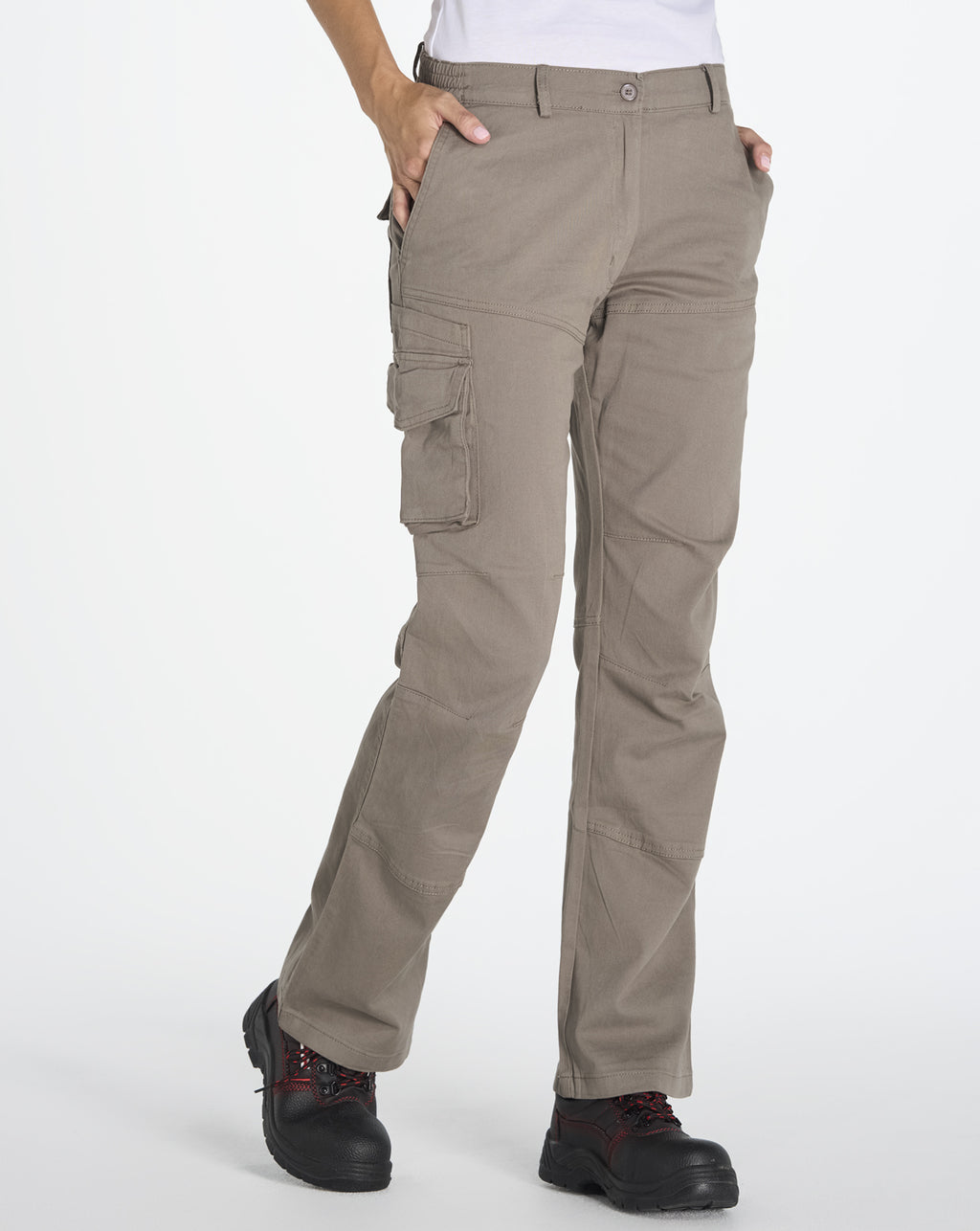 Arizona Lady (CARGO)