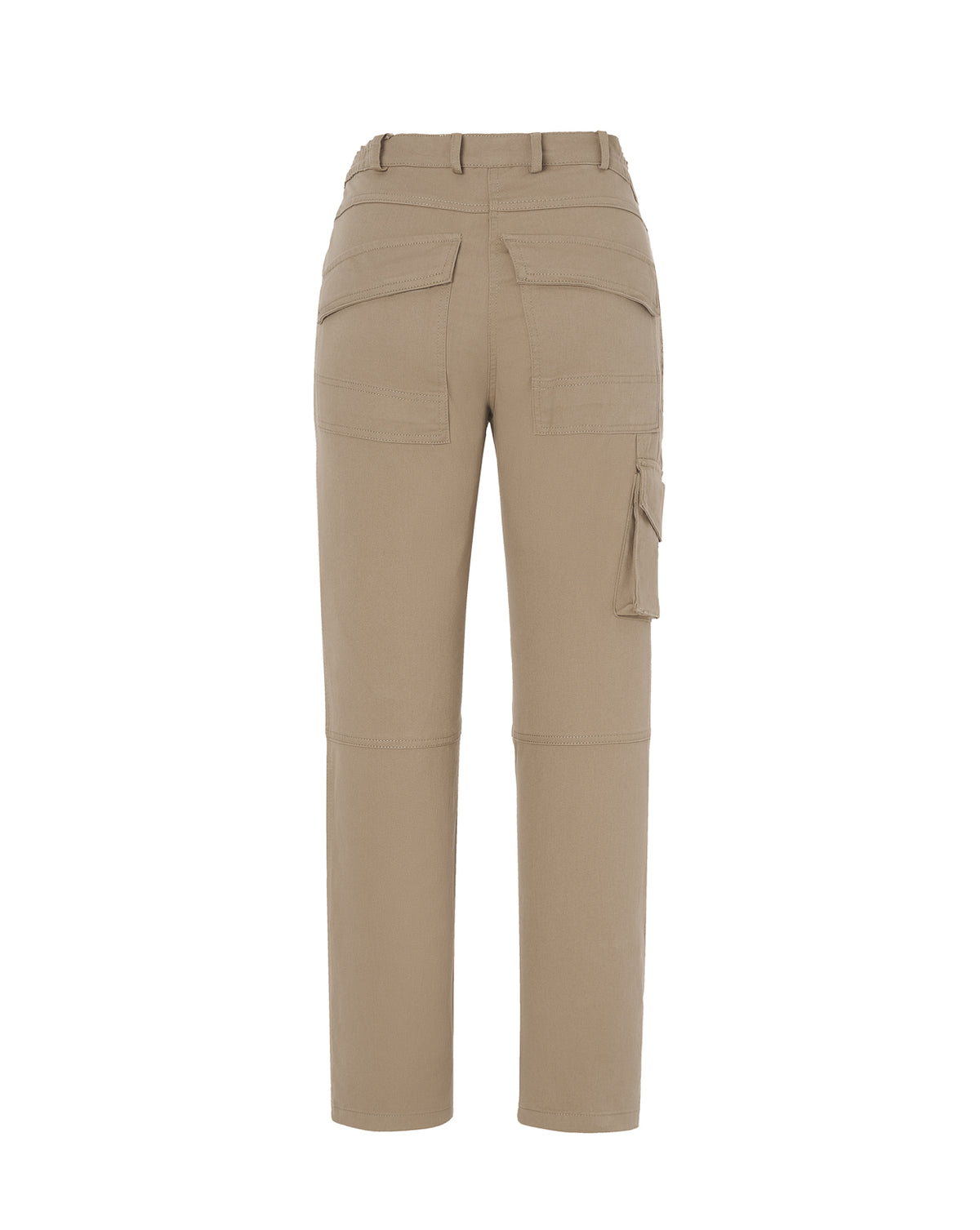 Arizona Lady (CARGO)