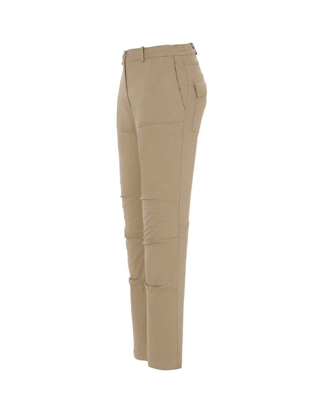 Arizona Lady (CARGO)
