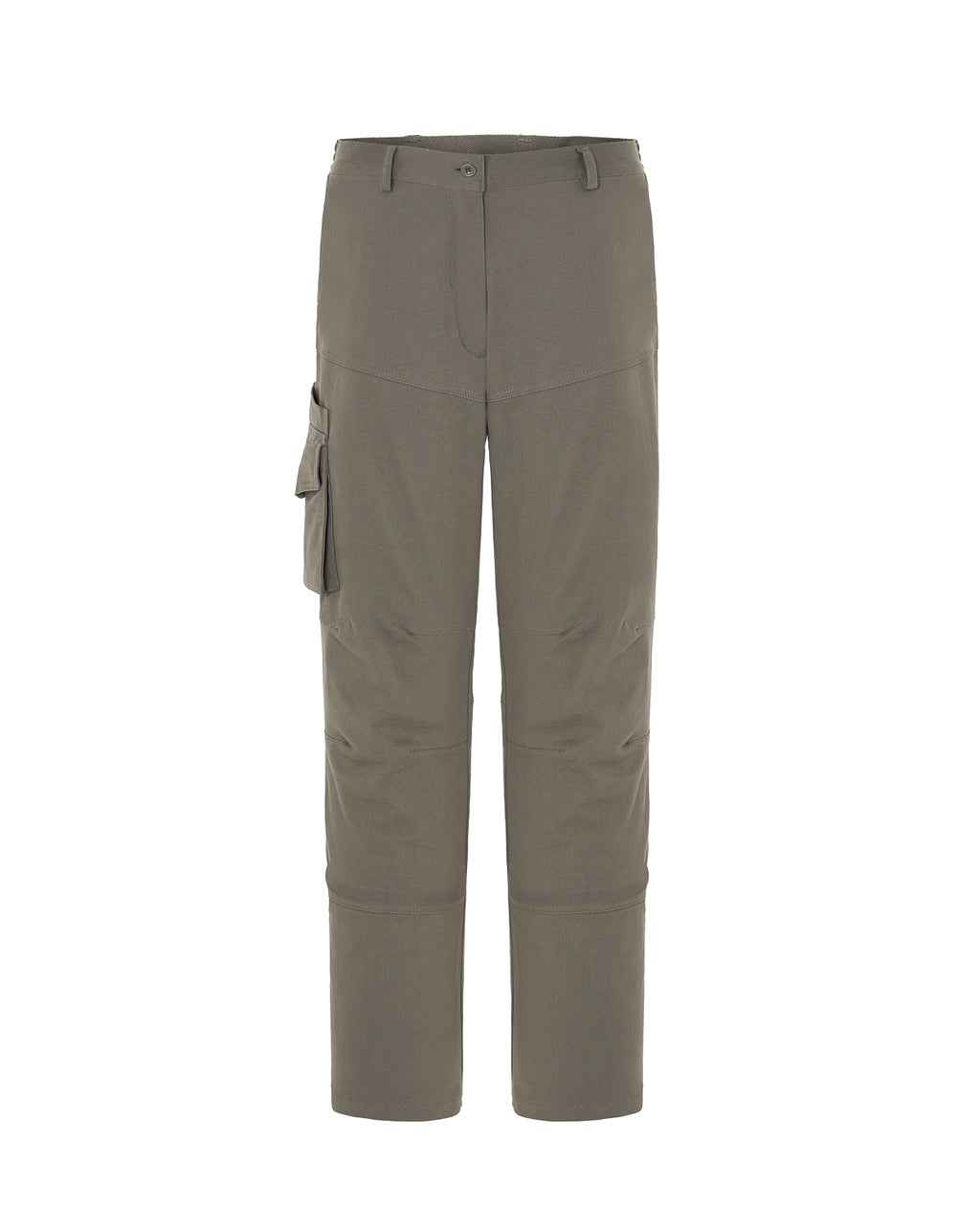 Arizona Lady (CARGO)