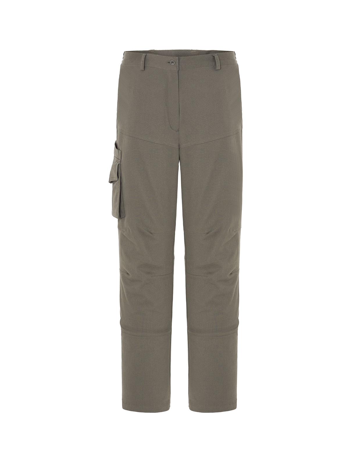 Arizona Lady (CARGO)
