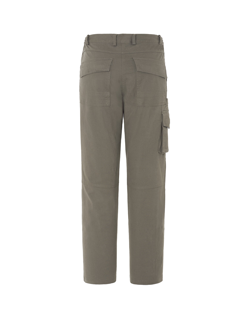 Arizona Lady (CARGO)