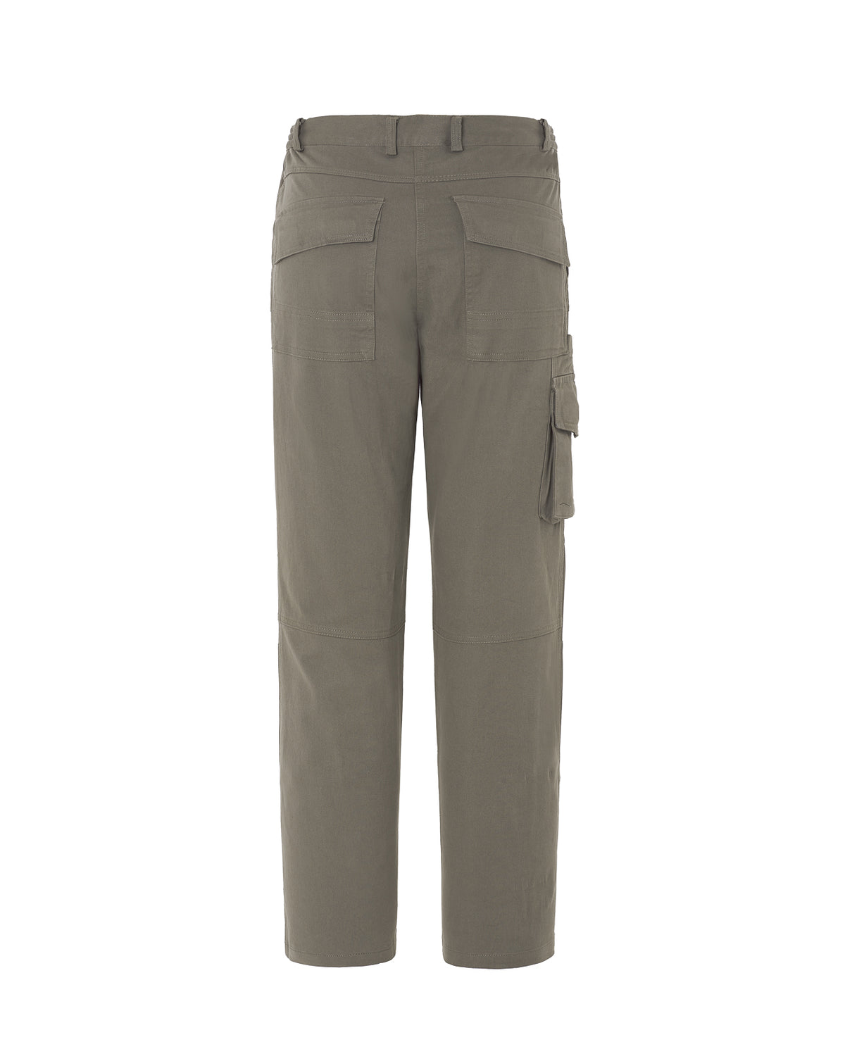 Arizona Lady (CARGO)