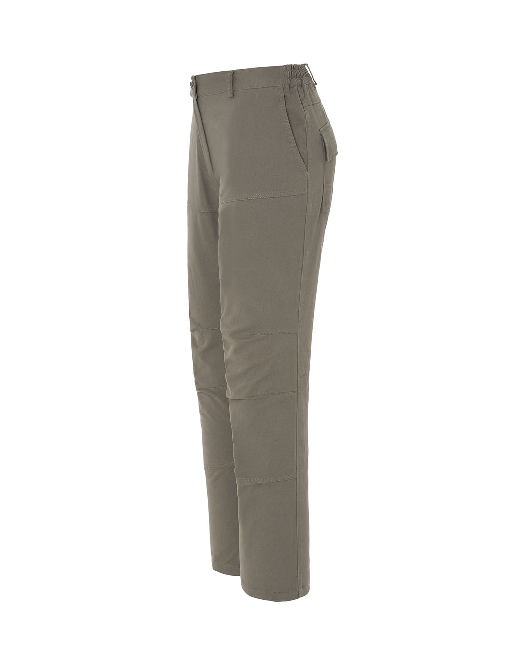 Arizona Lady (CARGO)