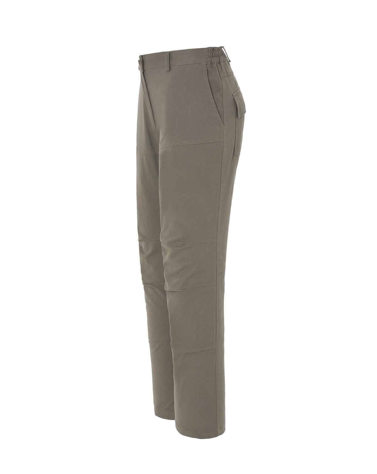 Arizona Lady (CARGO)